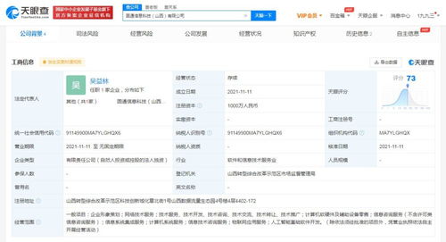 軟件開發(fā) 過(guò)程、挑戰(zhàn)與未來(lái)趨勢(shì)
